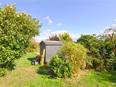 Picture 25
